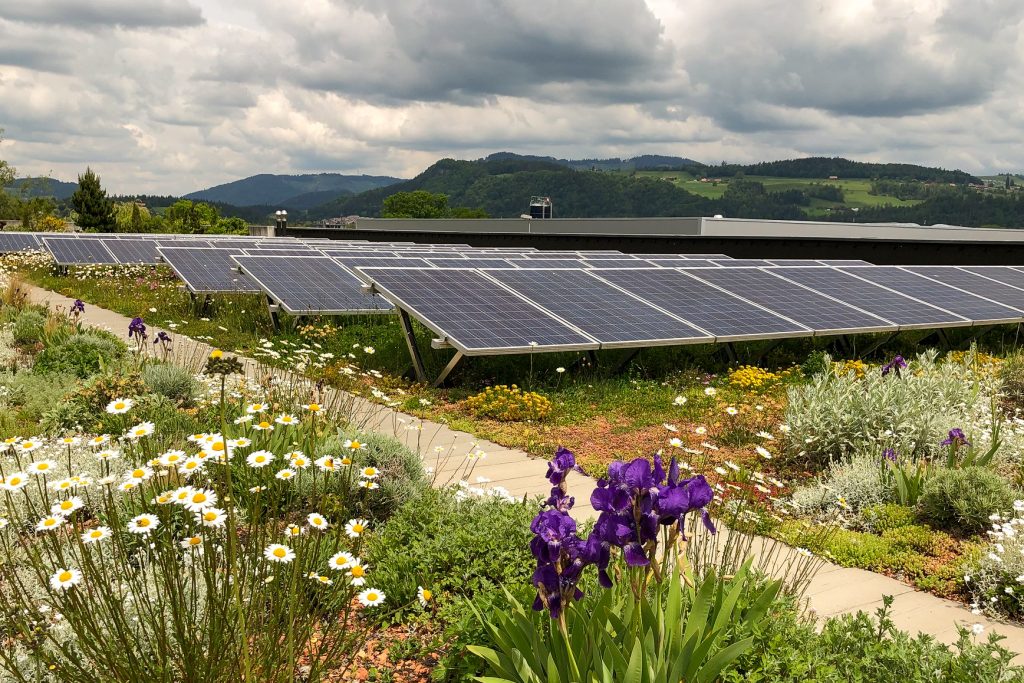 Solar-Photovoltaik-Lösungen